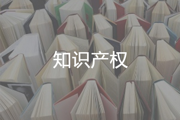 知识产权02.jpg